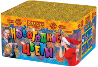 Новогодние цветы Фейерверк купить в Окуловке | okulovka.salutsklad.ru