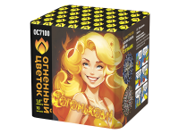 С огоньком! Фейерверк купить в Окуловке | okulovka.salutsklad.ru