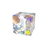 Новогодняя ночь Салют купить в Окуловке | okulovka.salutsklad.ru