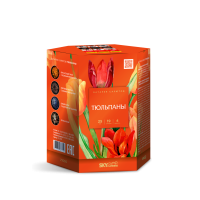 Тюльпаны Салют купить в Окуловке | okulovka.salutsklad.ru