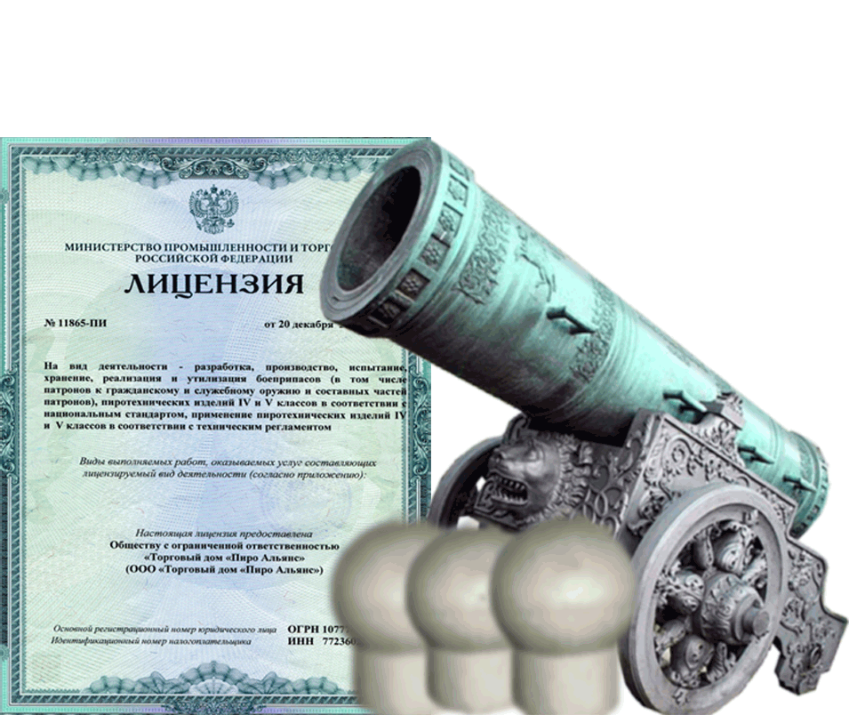 Заказать фейерверк на Новый Год - салют в Окуловке