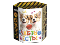 Счастье есть! Салют купить в Окуловке | okulovka.salutsklad.ru