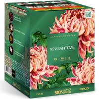 Хризантемы Фейерверк купить в Окуловке | okulovka.salutsklad.ru