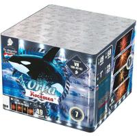 Косатка Фейерверк купить в Окуловке | okulovka.salutsklad.ru