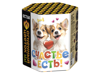 Счастье есть! Салют купить в Окуловке | okulovka.salutsklad.ru